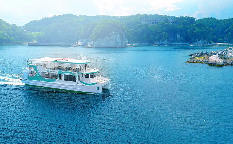 遊覧船 「宮古うみねこ丸」 乗船券 [2枚] チケット 券 名勝 景色 自然 船