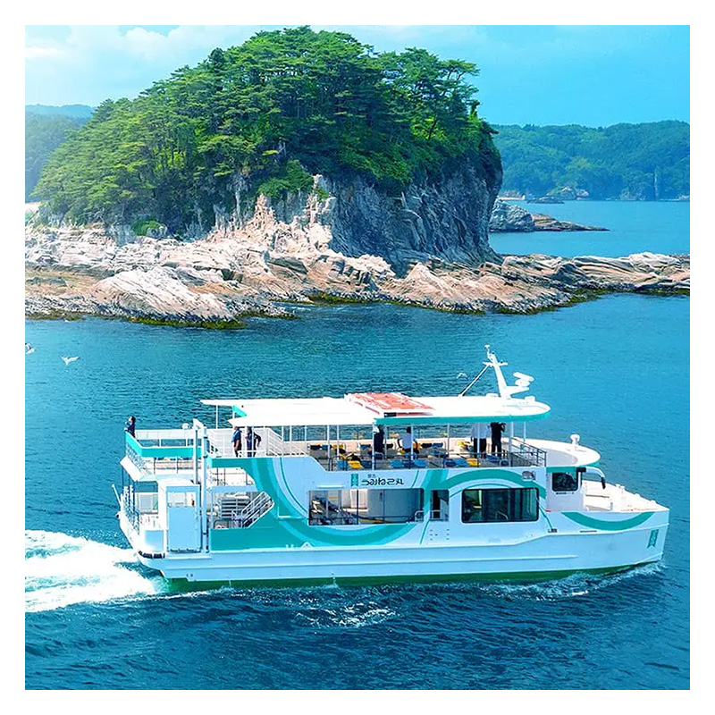 遊覧船 「宮古うみねこ丸」 乗船券 [2枚] チケット 券 名勝 景色 自然 船