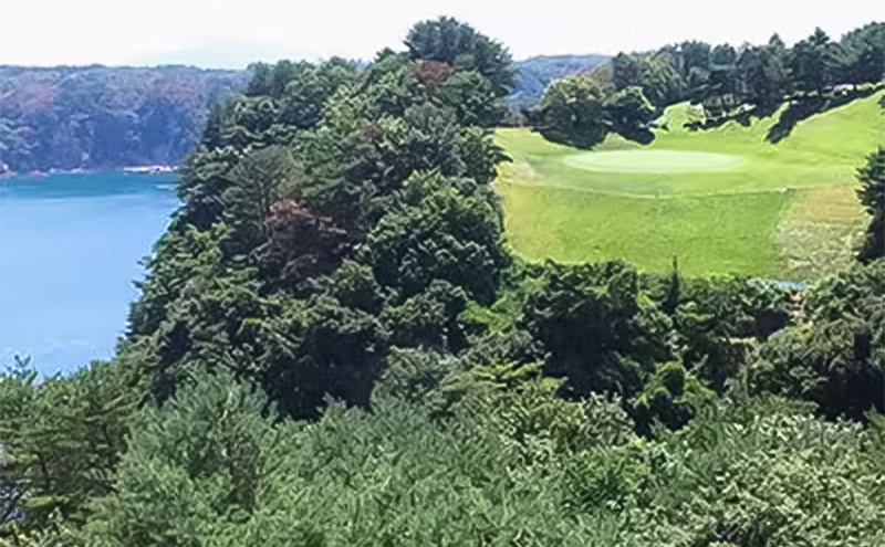宮古カントリークラブの土日祝プレーご招待券 ゴルフ ゴルフプレー 券 ゴルフプレー券 招待券