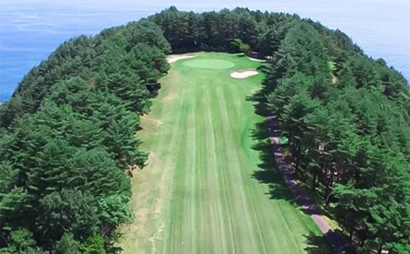 宮古カントリークラブの土日祝プレーご招待券 ゴルフ ゴルフプレー 券 ゴルフプレー券 招待券