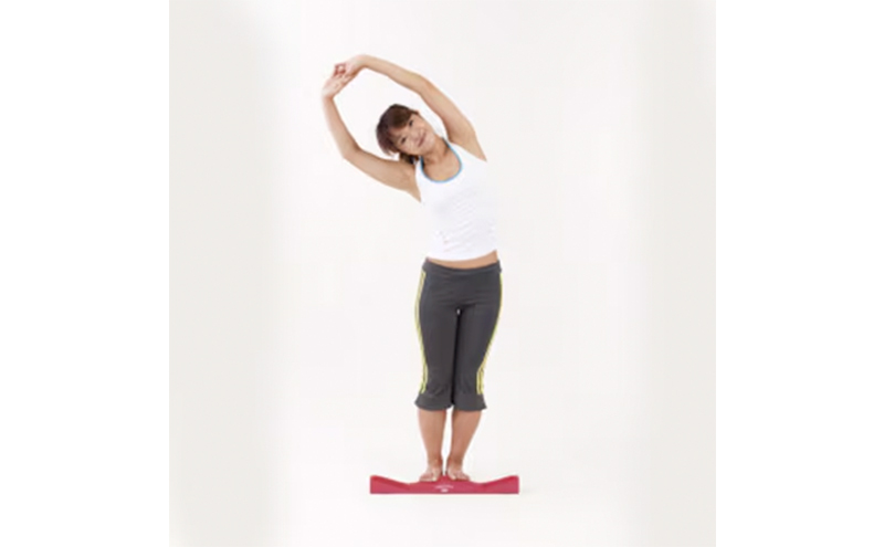 【宮古市】キュットピットミニチョコブラウン 岩手県 木材 スギ 健康 手軽 用具