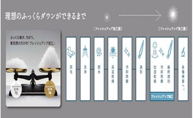 【nishikawa/西川】羽毛ふとん/ポーリッシュマザーホワイトグースダウン95％/シングル【P063W】