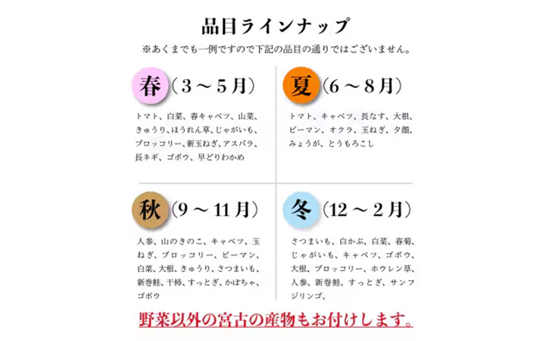 【新鮮野菜】こだわり厳選 旬の野菜セット 宮古産 野菜 野菜セット 旬 季節
