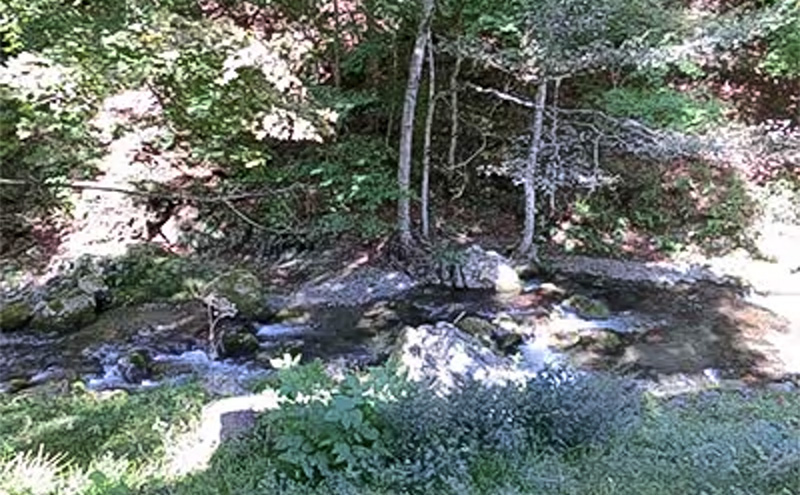 横沢温泉静峰苑「1泊3食付きペア宿泊券」+木の博物館チケット2名様 宿泊券 券 チケット 宿泊 温泉 旅行 博物館