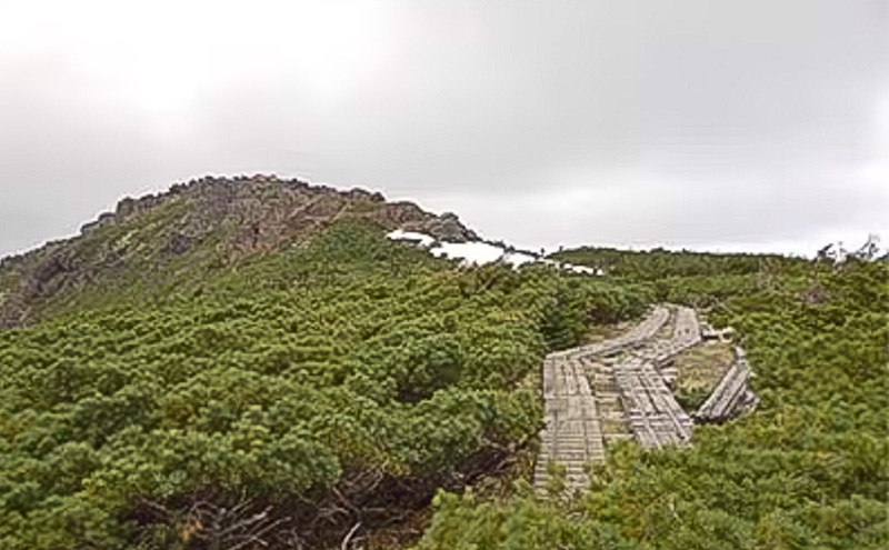 横沢温泉静峰苑「1泊3食付きペア宿泊券」+木の博物館チケット2名様 宿泊券 券 チケット 宿泊 温泉 旅行 博物館
