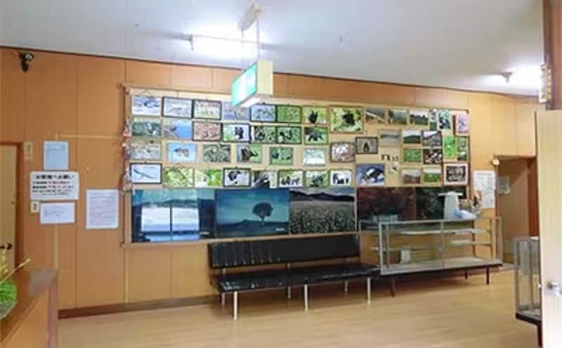 早池峰山荘「1泊貸し切り」 宿泊券 券 チケット 宿泊 旅行