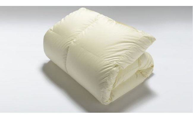 yꌧߍ]szynishikawa/zHтӂƂ/|[bVzCgO[X_E90/DyP212Wz