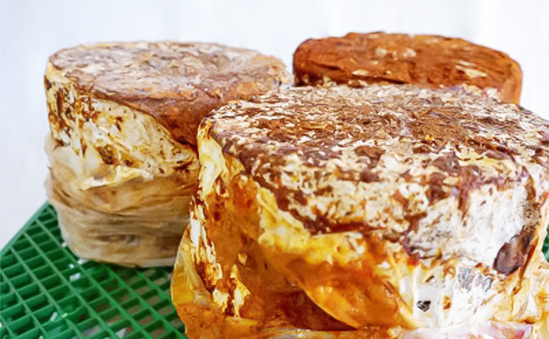 【家庭で楽しめる】舞茸の菌木 約15kg(3～4個) きのこ 舞茸 まいたけ マイタケ 栽培 手軽