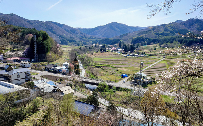 【家庭で楽しめる】舞茸の菌木 約15kg(3～4個) きのこ 舞茸 まいたけ マイタケ 栽培 手軽