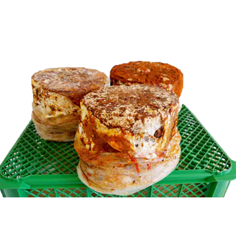 【家庭で楽しめる】舞茸の菌木 約15kg(3～4個) きのこ 舞茸 まいたけ マイタケ 栽培 手軽