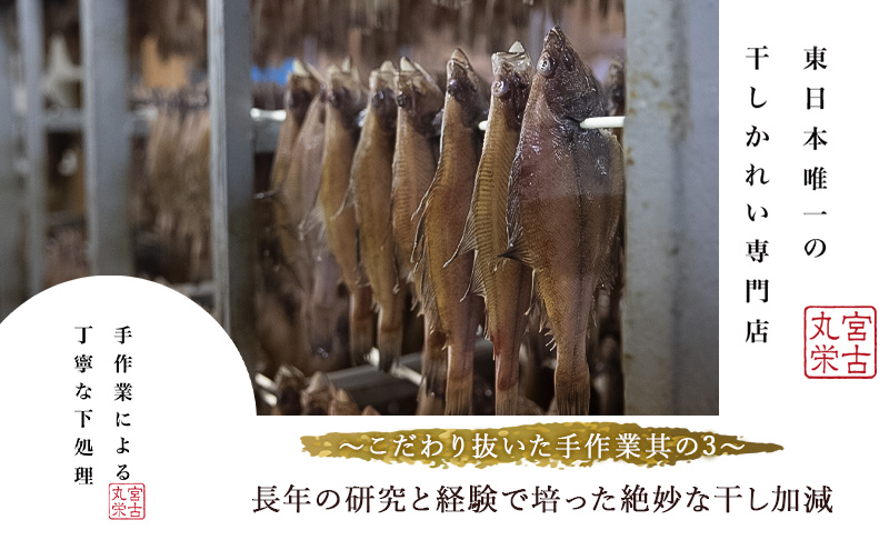 かれい セット 詰め合わせ 調理が簡単 MM0185 カレイ 干し魚 干物 ひもの かれいの煮付 煮付け用 骨せんべい せんべい 魚 魚介 魚介類 冷凍 岩手 岩手県 宮古市