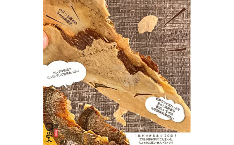 宮古で獲れた かれいまるごと 魚拓せんべい 直径15cm超 3枚 セット 詰め合わせ かれい専門店 煎餅 せんべい 魚煎餅 魚せんべい お菓子 菓子 おやつ おつまみ 岩手 岩手県 宮古市