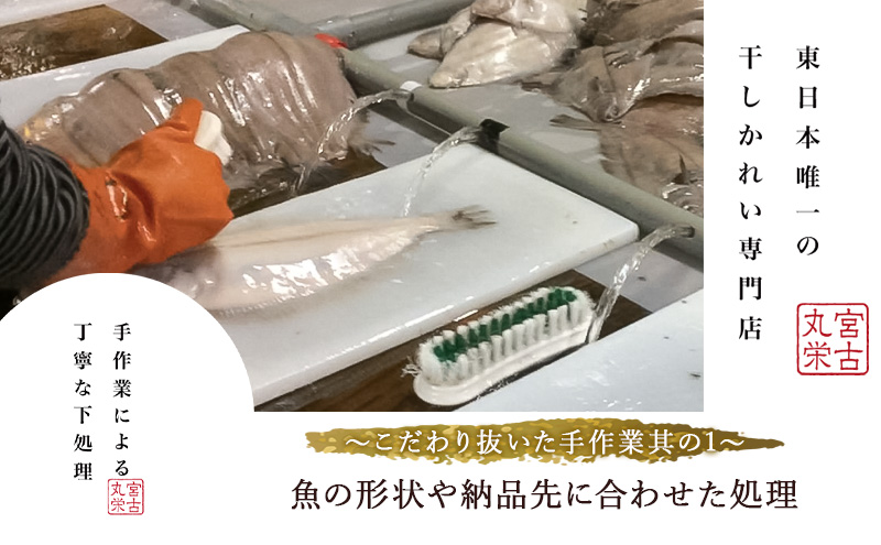 宮古で獲れた かれいまるごと 魚拓せんべい 直径15cm超 3枚 セット 詰め合わせ かれい専門店 煎餅 せんべい 魚煎餅 魚せんべい お菓子 菓子 おやつ おつまみ 岩手 岩手県 宮古市