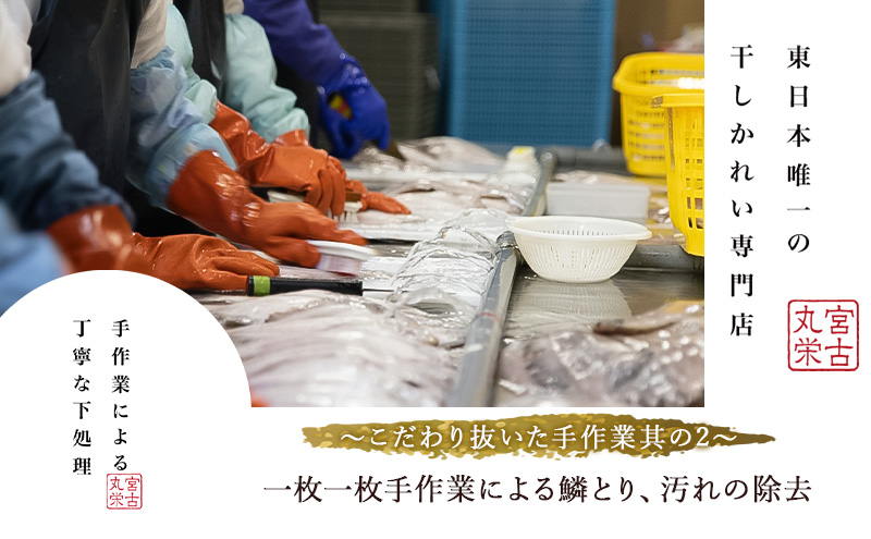 宮古で獲れた かれいまるごと 魚拓せんべい 直径15cm超 3枚 セット 詰め合わせ かれい専門店 煎餅 せんべい 魚煎餅 魚せんべい お菓子 菓子 おやつ おつまみ 岩手 岩手県 宮古市