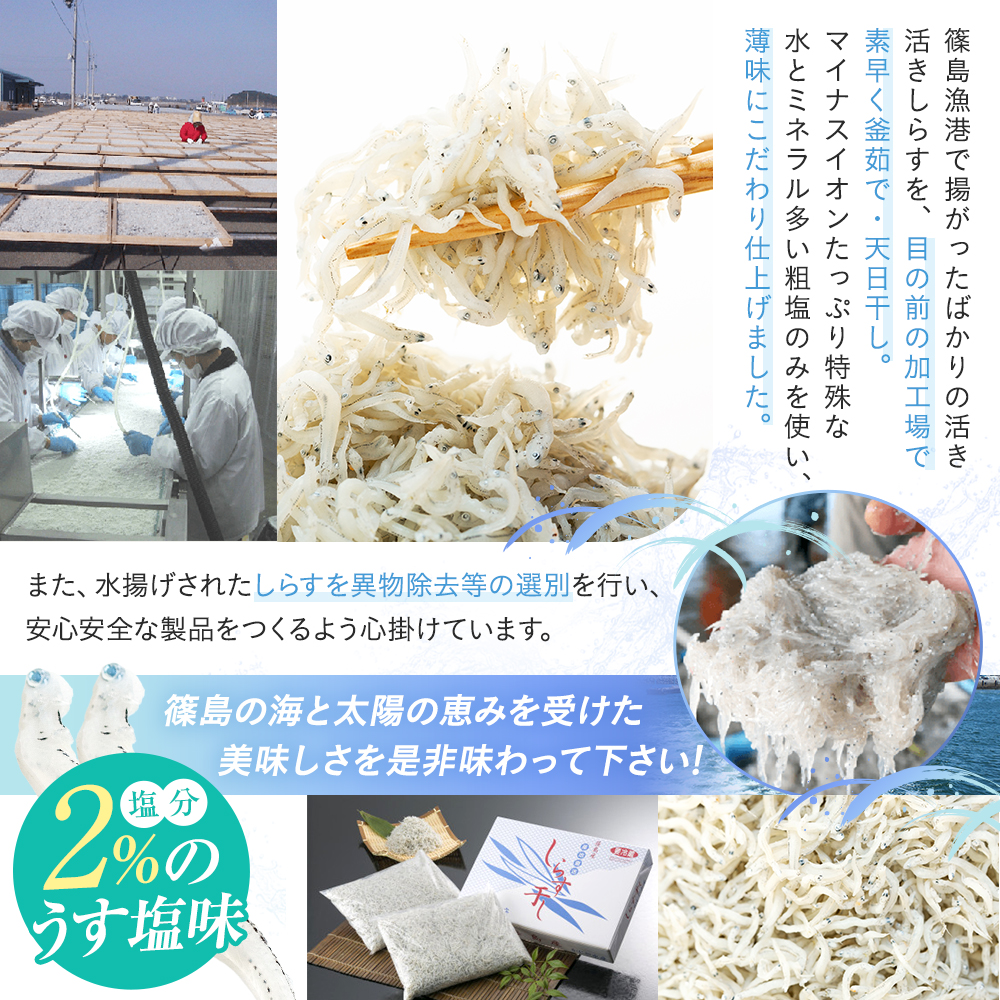 篠島産しらす干し1kg