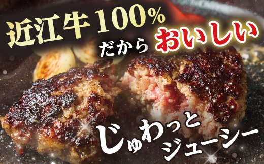 近江牛１００％　プレミアム生ハンバーグ1.2kg（約120g×10個）【FO19W】