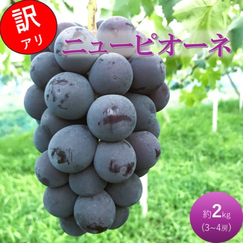 辻葡萄園 の ニュー ピオーネ ご家庭用 約5kg 岡山県産 ぶどう