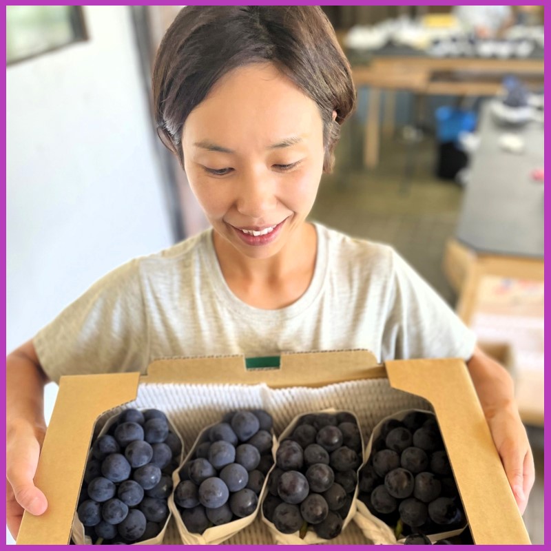 2026 早期受付 ぶどう ニューピオーネ 3～4房 約2kg 岡山県高梁市産 うめづぶどう園 化粧箱入り 葡萄 ブドウ 訳あり