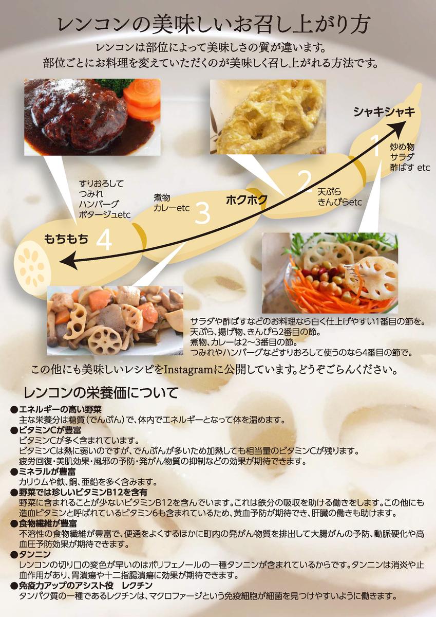 ＼先行予約・数量限定／オーガニック肥料で育てたれんこん 4kg (8月上旬発送開始予定)【茨城県 鹿嶋市 有機栽培 オーガニック レンコン 蓮根 野菜 根菜 産地直送 有機野菜 】（KBJ-2）
