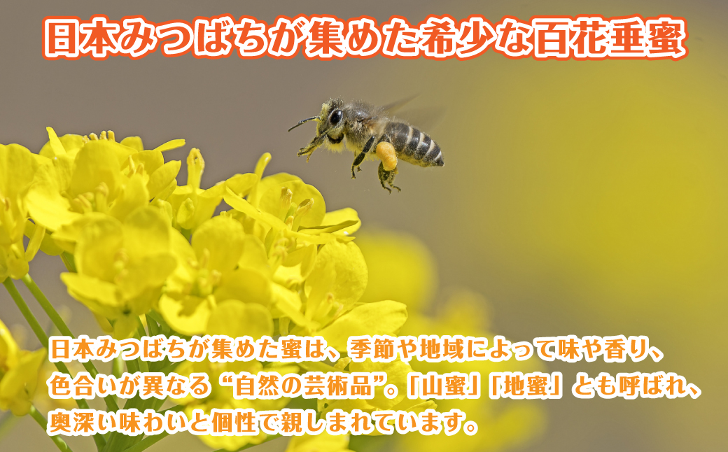 日本みつばちの百花垂蜜 150g×2個 保存料・着色料無添加 はちみつ