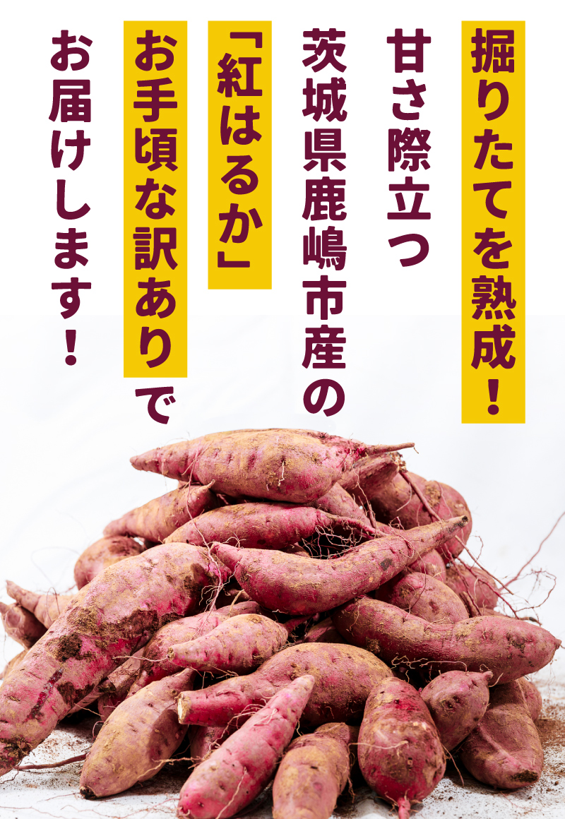 【先行予約】【2025年10月以降発送】【訳あり】 紅はるか さつまいも 計 約5kg (4kg+約25%補償分) 新鮮 土付き【サツマイモ 紅はるか 茨城県 鹿嶋市 10000円以下】（KAM-25）