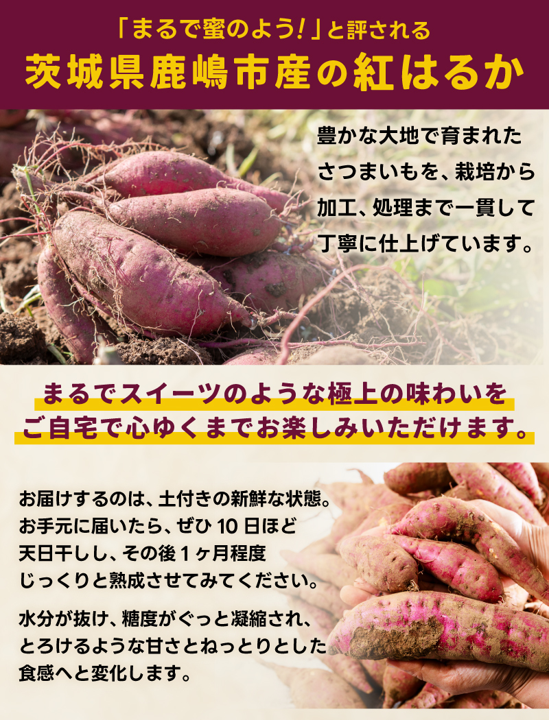 【先行予約】【2025年10月以降発送】【訳あり】 紅はるか さつまいも 計 約5kg (4kg+約25%補償分) 新鮮 土付き【サツマイモ 紅はるか 茨城県 鹿嶋市 10000円以下】（KAM-25）