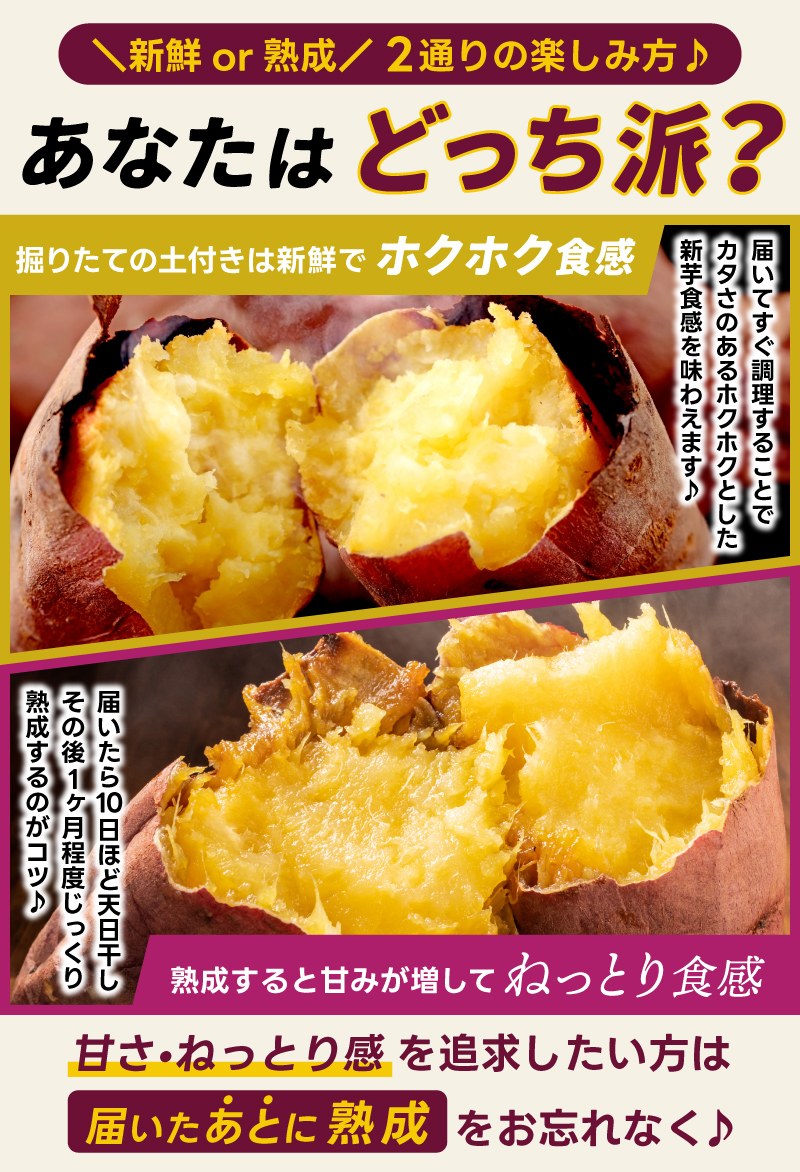 【先行予約】【2025年10月以降発送】【訳あり】 紅はるか さつまいも 計 約10kg (8kg+約25%補償分) 新鮮 土付き【サツマイモ 紅はるか 茨城県 鹿嶋市 10000円以下】（KAM-24）