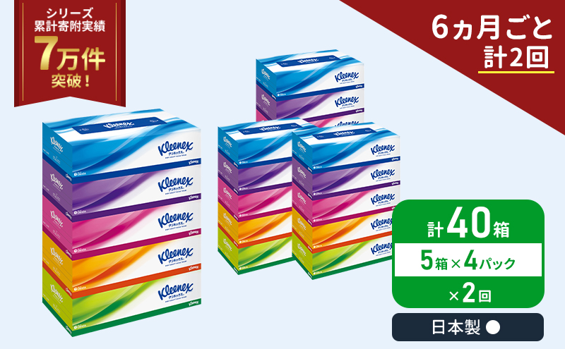 定期便 ティッシュ クリネックス ティシュー 5箱入×4パック《6ヶ月ごと計2回》 ティッシュペーパー セット 柔らかい 節約 日用品 日用雑貨 備蓄 備蓄用 防災 災害 ボックスティッシュ テッシュ ペーパー ローリングストック 宮城 岩沼市