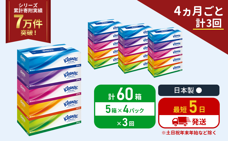 【宮城県岩沼市】定期便 ティッシュ クリネックス ティシュー 5箱入×4パック《4ヶ月ごと計3回》 ティッシュペーパー セット 柔らかい 節約 日用品 日用雑貨 備蓄 備蓄用 防災 災害 ボックスティッシュ テッシュ ペーパー ローリングストック 宮城 岩沼市