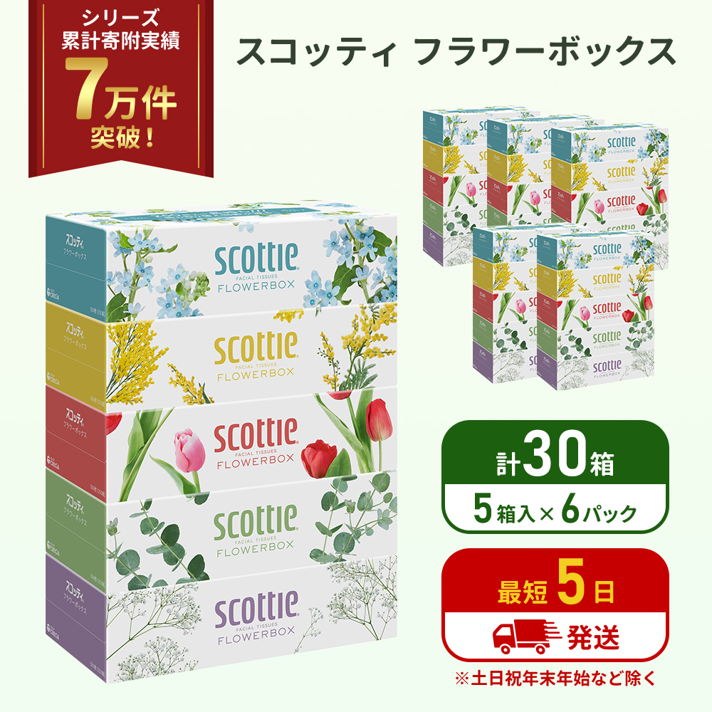 【宮城県岩沼市】ティッシュ スコッティ フラワーボックス 30箱 (5箱×6パック) ティッシュペーパー ティシュー ティシューペーパーボックスティッシュ ボックスティシュー ティシュペーパー 防災 災害 日用品  生活用品 生活必需品  宮城県 岩沼市
