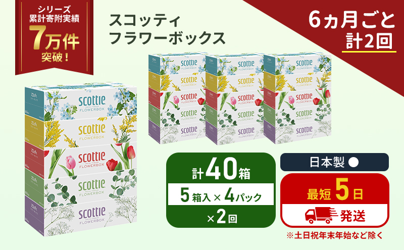 【宮城県岩沼市】定期便 ティッシュ スコッティ フラワーボックス 40箱 (5箱×4パック)《6ヶ月ごと計2 回》 ティッシュペーパー ティシューペーパーボックスティッシュ ボックスティシュー ティシュペーパー 防災 災害 日用品 生活用品 生活必需品 宮城県 岩沼市