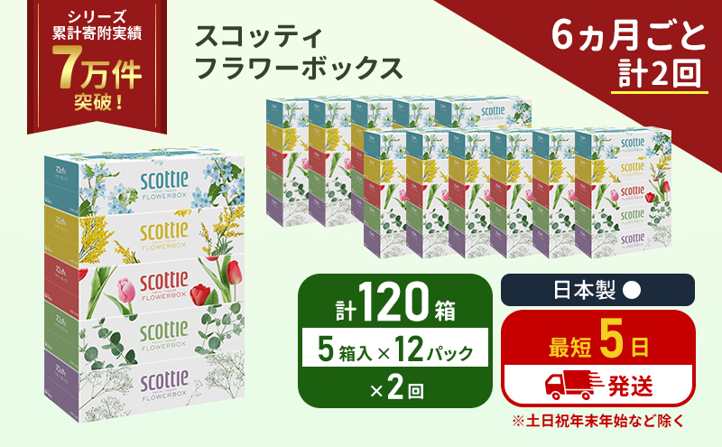 【宮城県岩沼市】定期便 ティッシュ スコッティ フラワーボックス 120箱 (5箱×12パック)《6ヶ月ごと計2回》 ティッシュペーパーティシューペーパーボックスティッシュ ボックスティシュー ティシュペーパー 防災 災害 日用品 生活用品 生活必需品 宮城県 岩沼市