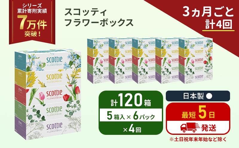 【宮城県岩沼市】定期便 ティッシュ スコッティ フラワーボックス 120箱 (5箱×6パック)《3ヶ月ごと計4 回》 ティッシュペーパー ティシューペーパーボックスティッシュ ボックスティシュー ティシュペーパー 防災 災害 日用品 生活用品 生活必需品 宮城県 岩沼市