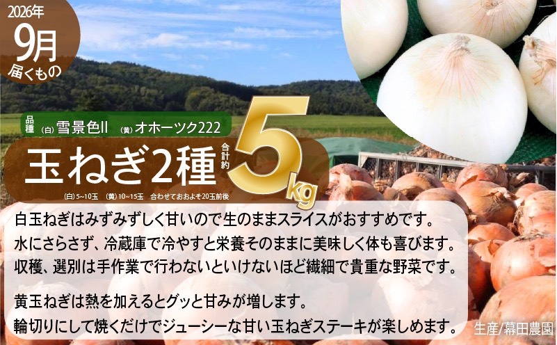 【2026年発送】全3回 富良野 専門農家が選ぶ 旬の贅沢定期便 北海道 富良野市 老節布 野菜 ミニトマト とうもろこし スイートコーン 玉ねぎ たまねぎ 玉葱 白玉ねぎ 甘い