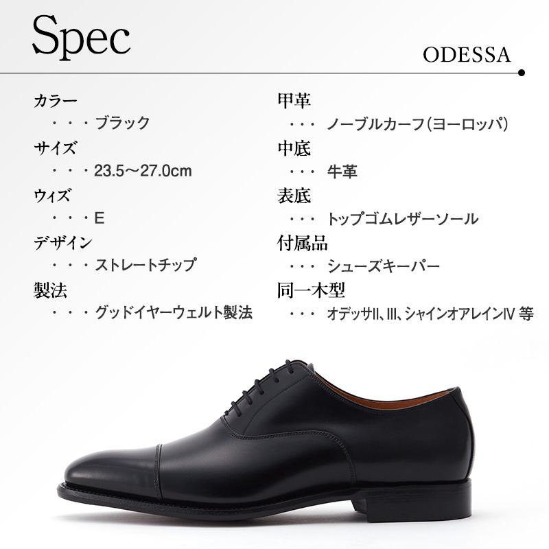 スコッチグレイン 紳士靴 オデッサ NO.916 靴 ビジネスシューズ