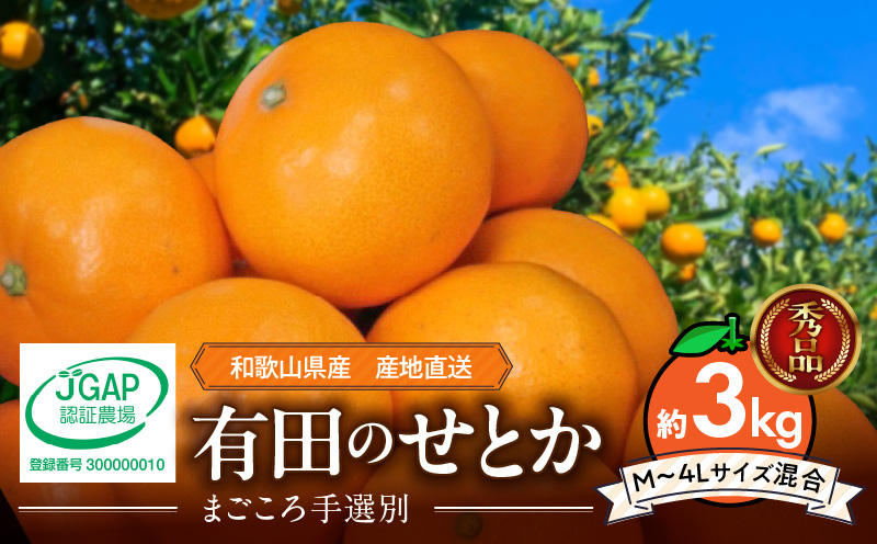 【和歌山県有田郡湯浅町】ZE6499_【2026年先行予約】【まごころ手選別】 せとか 約3kg 秀品