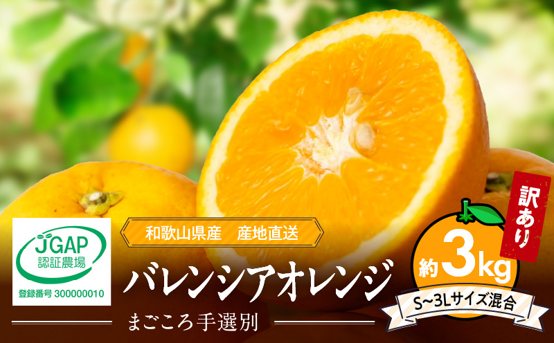 【和歌山県有田郡湯浅町】ZE6508_【2026年先行予約】和歌山県産 バレンシアオレンジ 3kg 家庭用