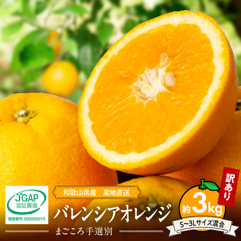AB7347_Y_01_【直営限定】【2026年先行予約】1月発送 農園直送!完熟