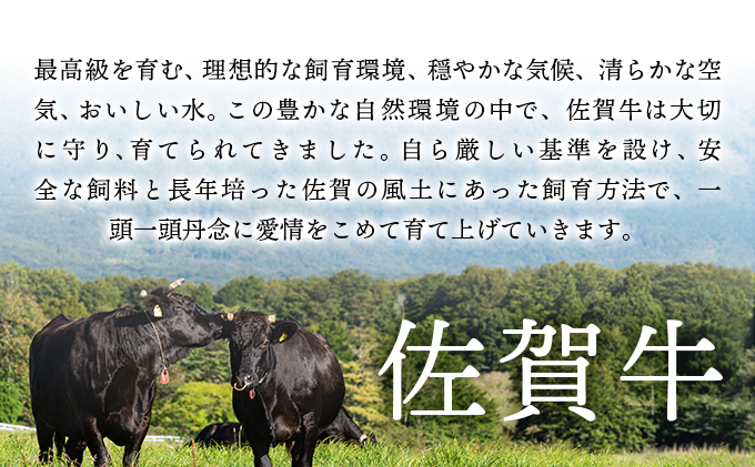 佐賀県大町町のふるさと納税 訳あり！【A4～A5】佐賀牛モモブロック（ローストビーフ用等）約500ｇ～600ｇ