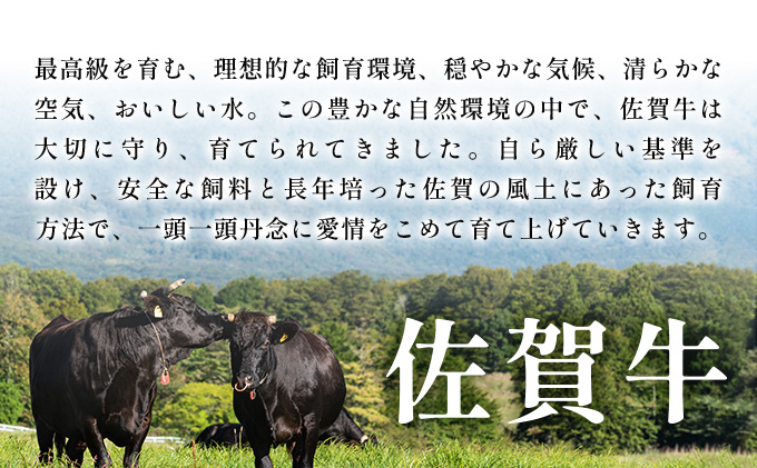 佐賀県大町町のふるさと納税 艶さし！【A4～A5】佐賀牛しゃぶしゃぶすき焼き用（肩ロース肉・肩バラ肉・モモ肉）500ｇ