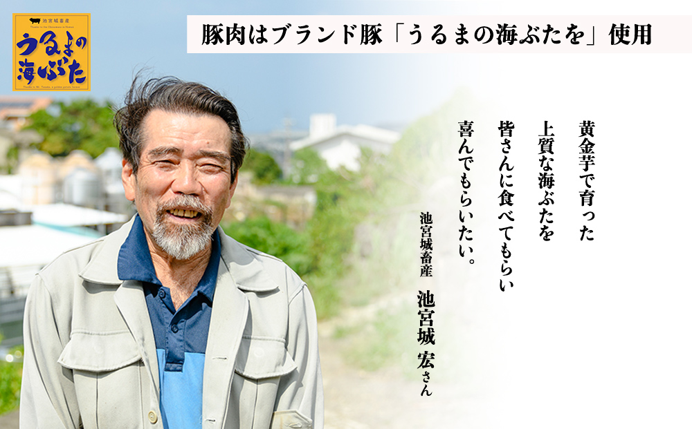 うるまの海ぶた角煮丼 ＜4個セット＞