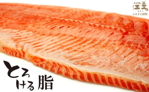 北海道江差町のふるさと納税 ＼配送時期指定可／北海道産 サーモン フィレ 生食用 700g以上 皮なし・骨取り済 半身分　1枚でお刺身10人前分くらい　日本海 かもめ島海面養殖　純国産 ブランドサーモン『江さしっ子 繁虎』　衝撃の口どけ　とろける脂　生食可　冷凍　トラウトサーモン　刺身　サーモンステーキ　カルパッチョ　海鮮　鮭　さけ　シャケ　しゃけ　さーもん