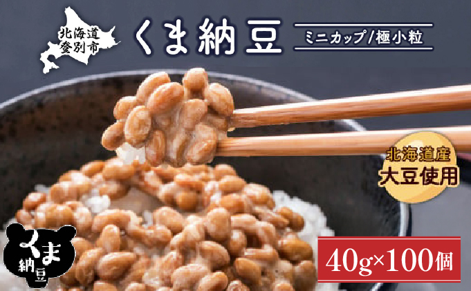 北海道くま納豆ミニカップ100個　極小粒