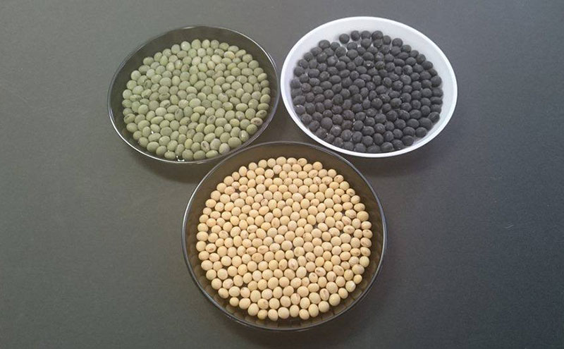 米麹「国津みそ3種セット」白、黒、青大豆とお米セット コシヒカリ 3年連続 特A 米 こしひかり ご飯 ごはん 白米 精米 三重県 名張市