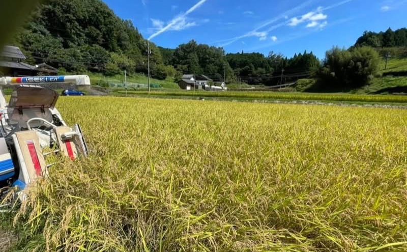 先行販売！令和7年度産　伊賀産コシヒカリ　極上　箸ひかり(精米)5kg コシヒカリ 3年連続 特A 米 こしひかり ご飯 ごはん 白米 精米 三重県 名張市