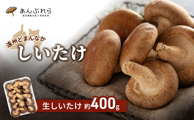 【静岡県袋井市】【遠州どまんなかしいたけ】 生しいたけ 約400g 椎茸 産地直送 国産 料理 素材 出汁 日本料理 就労支援 福祉 静岡 袋井