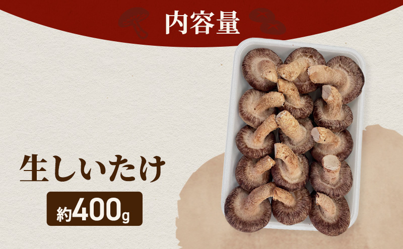 【遠州どまんなかしいたけ】 生しいたけ 約400g 椎茸 産地直送 国産 料理 素材 出汁 日本料理 就労支援 福祉 静岡 袋井