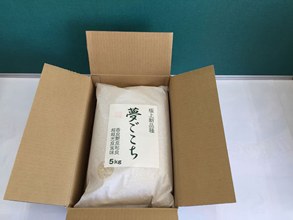 【7年産】近江米夢ごこち【5kg×2袋】【T035W2】