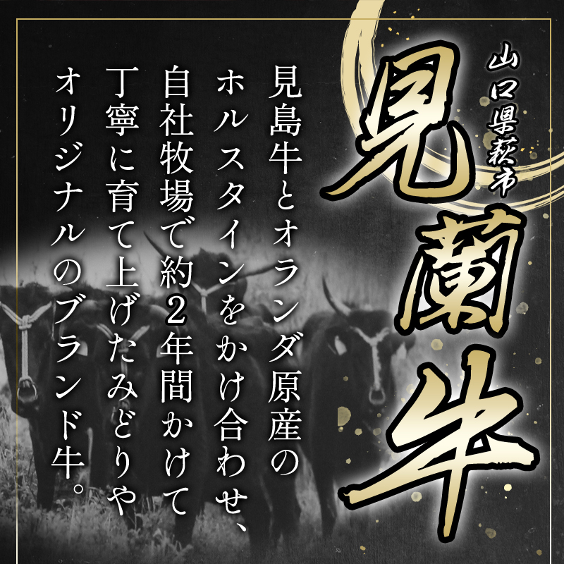 山口県萩市のふるさと納税 数量限定 牛肉 ばら カルビ 焼肉 400g 山口県萩市産 見蘭牛 国産 バーベキュー 肉 お肉 牛　｜HG000069
