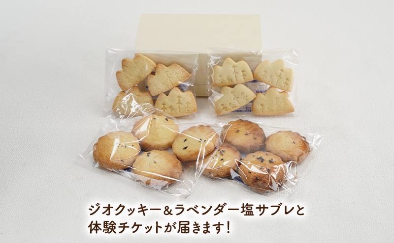 北海道 上富良野 ラベンダー サブレ ラベンダーティー 手作り 体験